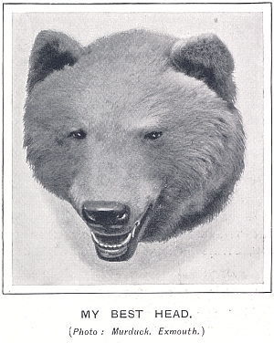 Murduck Photo No. 0004 - Aflalo's Best Bear Head