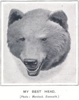 murduck-photo-0004-best-bear-head