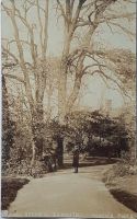 murduck-photo-0017-the-manor-grounds-exmouth-circa-1906